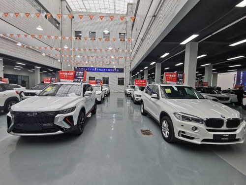 竹子買車現身成都，發動機裝配新模式打破汽車銷售常規