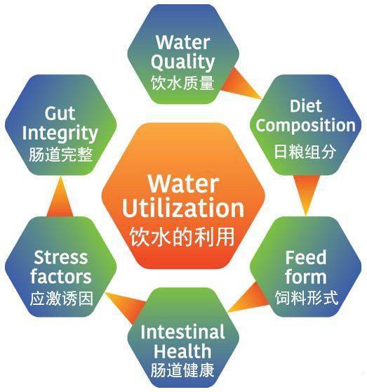 無處不在的水線問題，凈化刻不容緩——二甲酸鉀來解決
